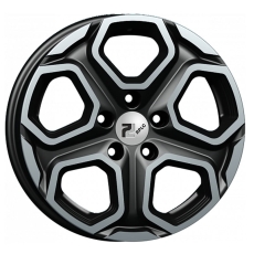 RPLC Ki241